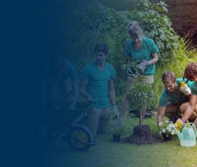 volunteers planting trees